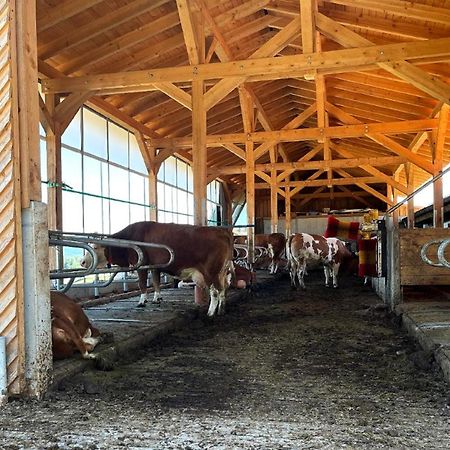Landgasthof Blasini - Pfahlhof Zandt Luaran gambar
