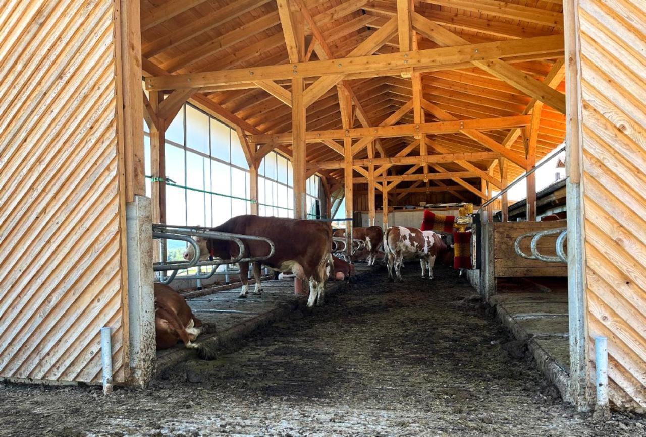Landgasthof Blasini - Pfahlhof Zandt Luaran gambar