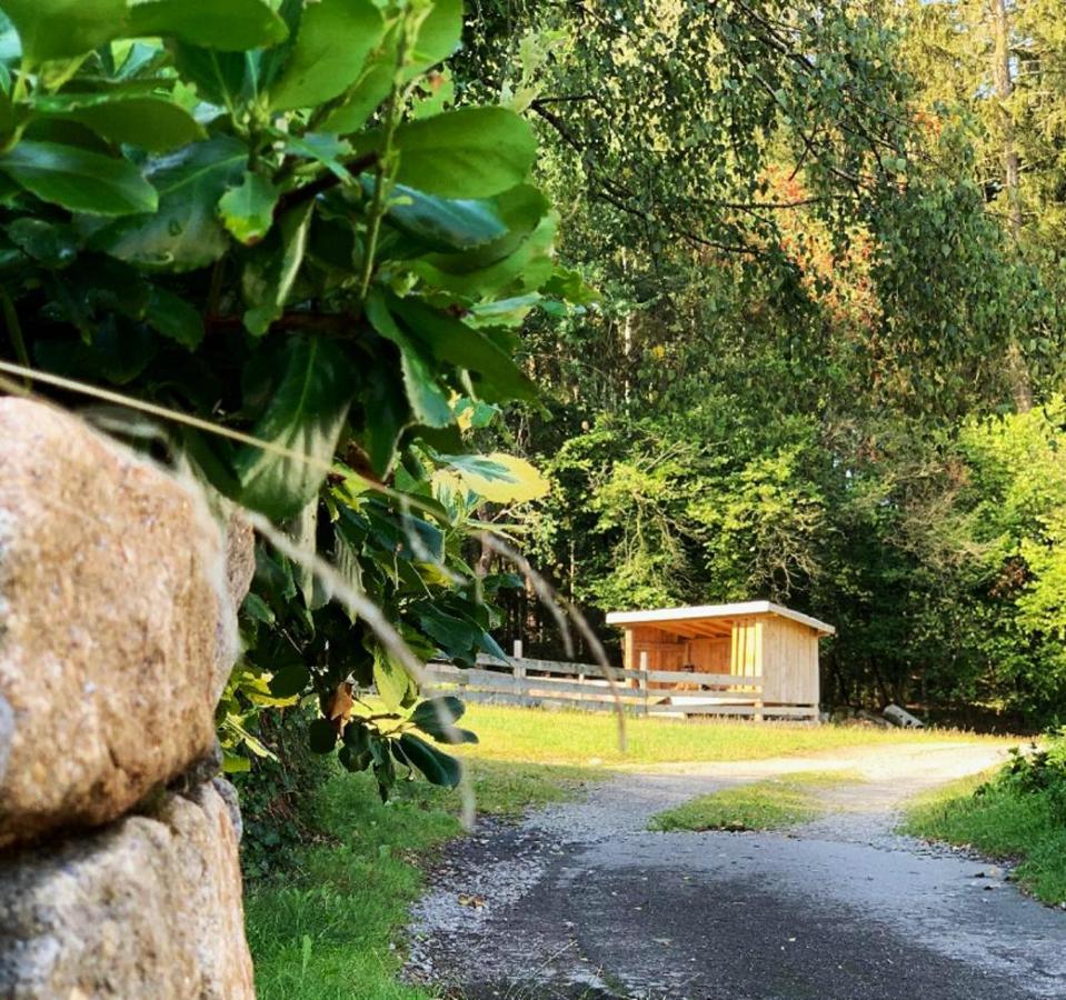 Landgasthof Blasini - Pfahlhof Zandt Luaran gambar
