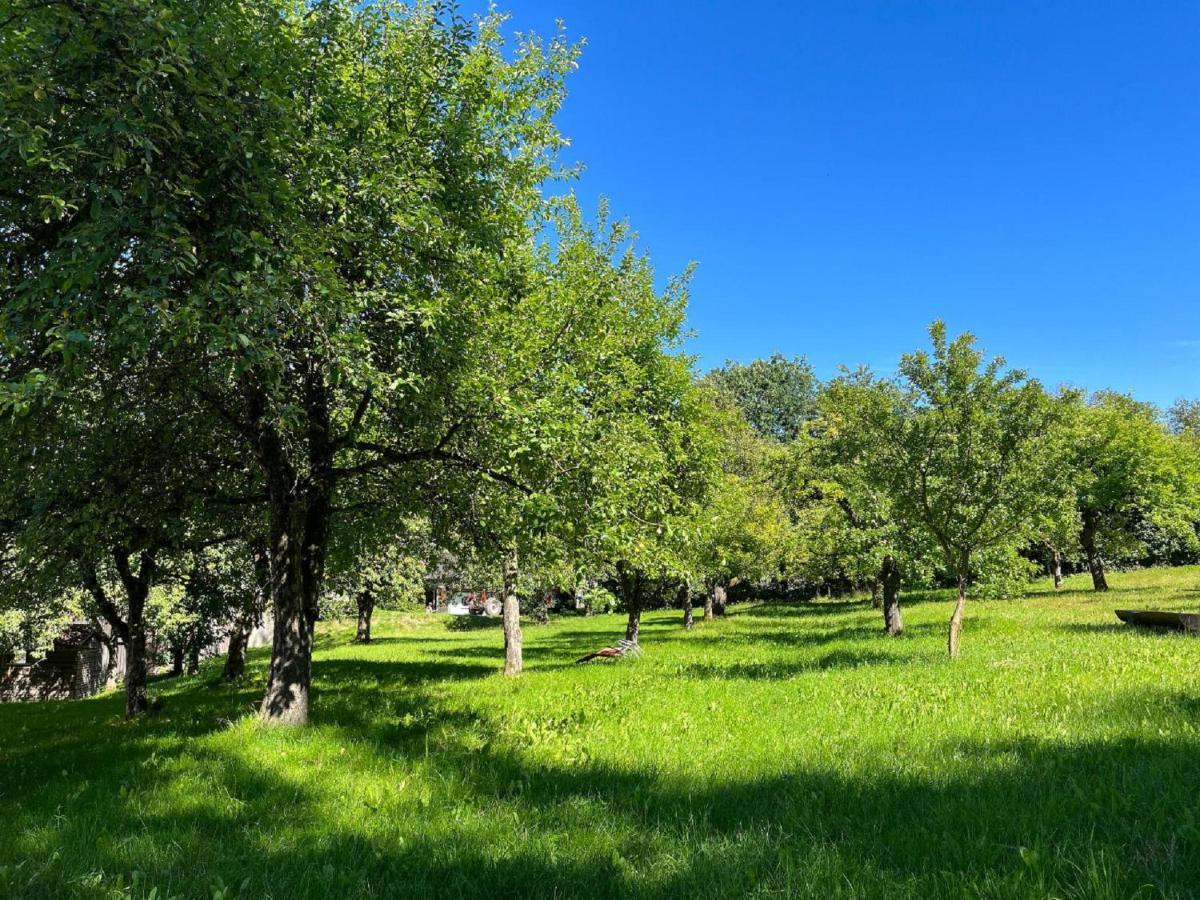 Landgasthof Blasini - Pfahlhof Zandt Luaran gambar
